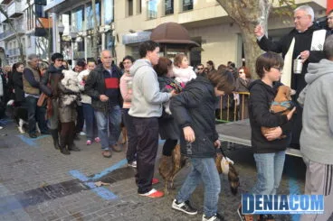 Bendición de animales en Dénia 2013 28