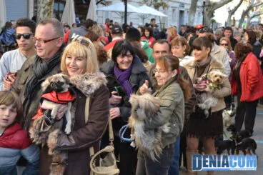 Bendición de animales en Dénia 2013 31
