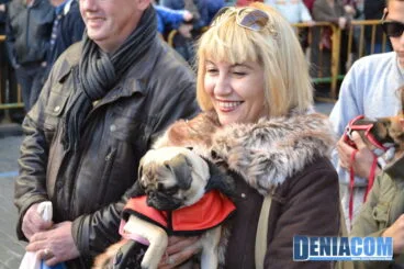 Bendición de animales en Dénia 2013 32