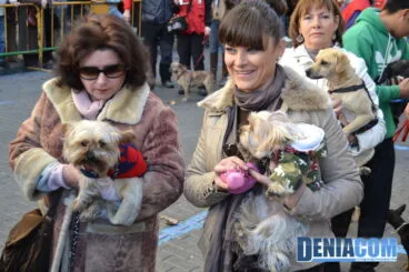 Bendición de animales en Dénia 2013 33