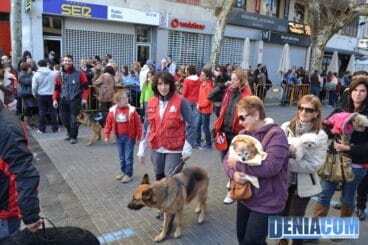 Bendición de animales en Dénia 2013 34