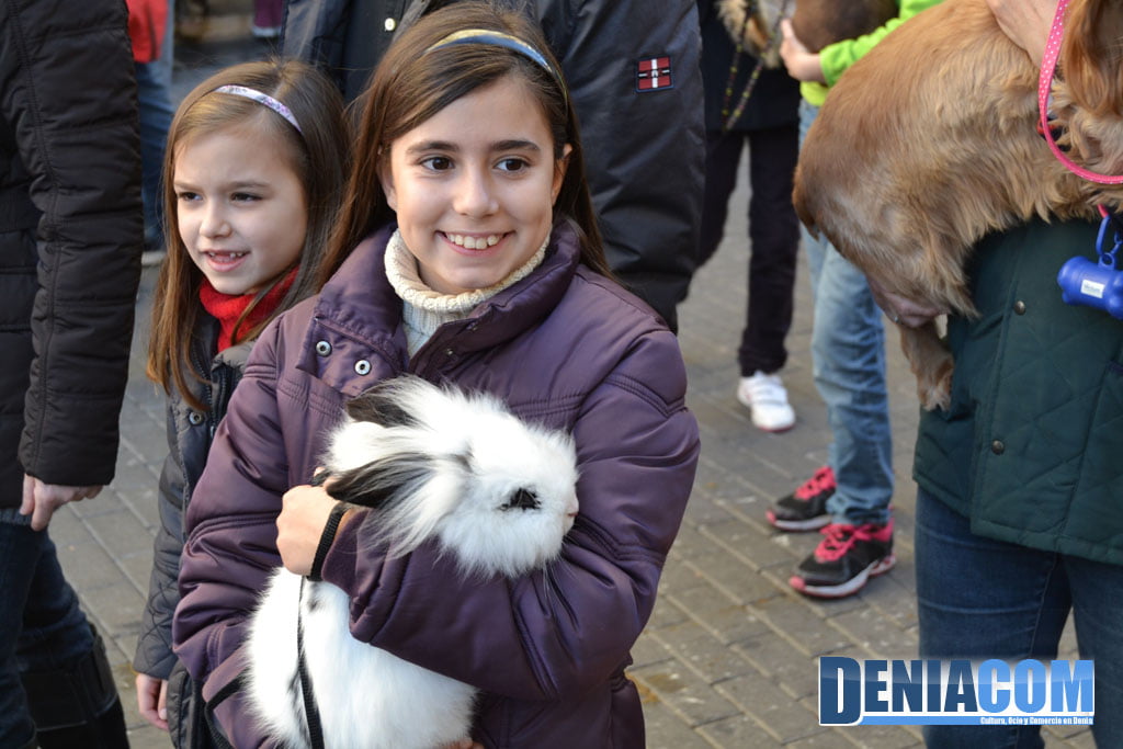 Bendición de animales en Dénia 2013 36