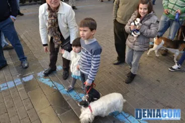 Bendición de animales en Dénia 2013 38