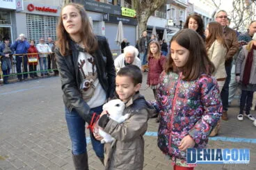 Bendición de animales en Dénia 2013 40