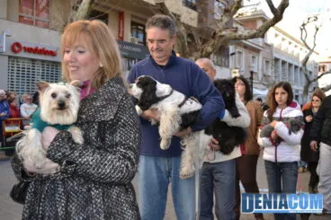 Bendición de animales en Dénia 2013 42