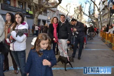 Bendición de animales en Dénia 2013 43