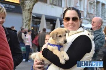 Bendición de animales en Dénia 2013 46