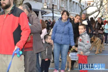Bendición de animales en Dénia 2013 48