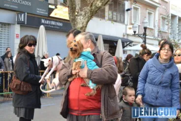 Bendición de animales en Dénia 2013 49