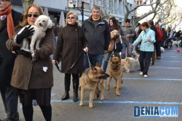 Bendición de animales en Dénia 2013 51