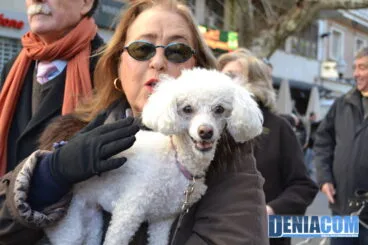 Bendición de animales en Dénia 2013 52
