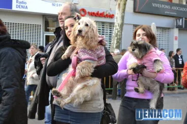 Bendición de animales en Dénia 2013 53