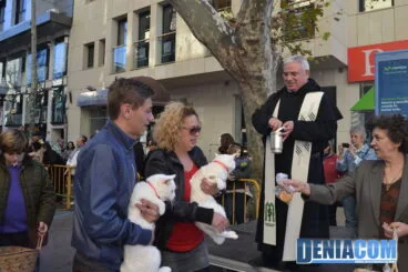 Bendición de animales en Dénia 2013 55