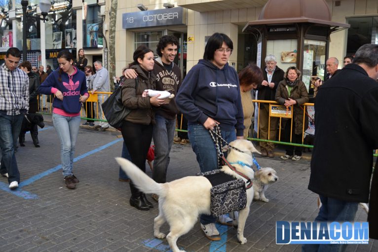Bendición de animales en Dénia 2013 56