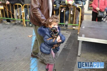 Bendición de animales en Dénia 2013 58