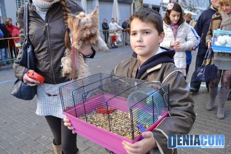 Bendición de animales en Dénia 2013 60