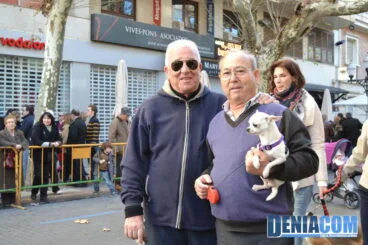 Bendición de animales en Dénia 2013 61