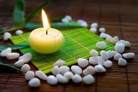 Conferencia sobre Salud y Bienestar Centro Quirorpáctico Dénia a cargo de Edita Maria Du Toit