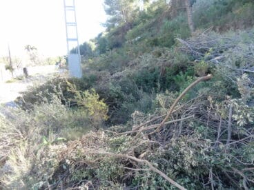 Dénia sanciona a Iberdrola por no cumplir con la ordenanza de limpieza urbana