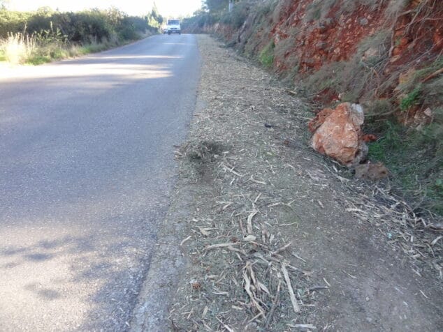 Sanción a Iberdrola por no retirar los restos de los árboles de La Pedrera