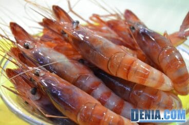 04 Segundo Concurso Internacional de Cocina Creativa de la Gamba Roja de Dénia