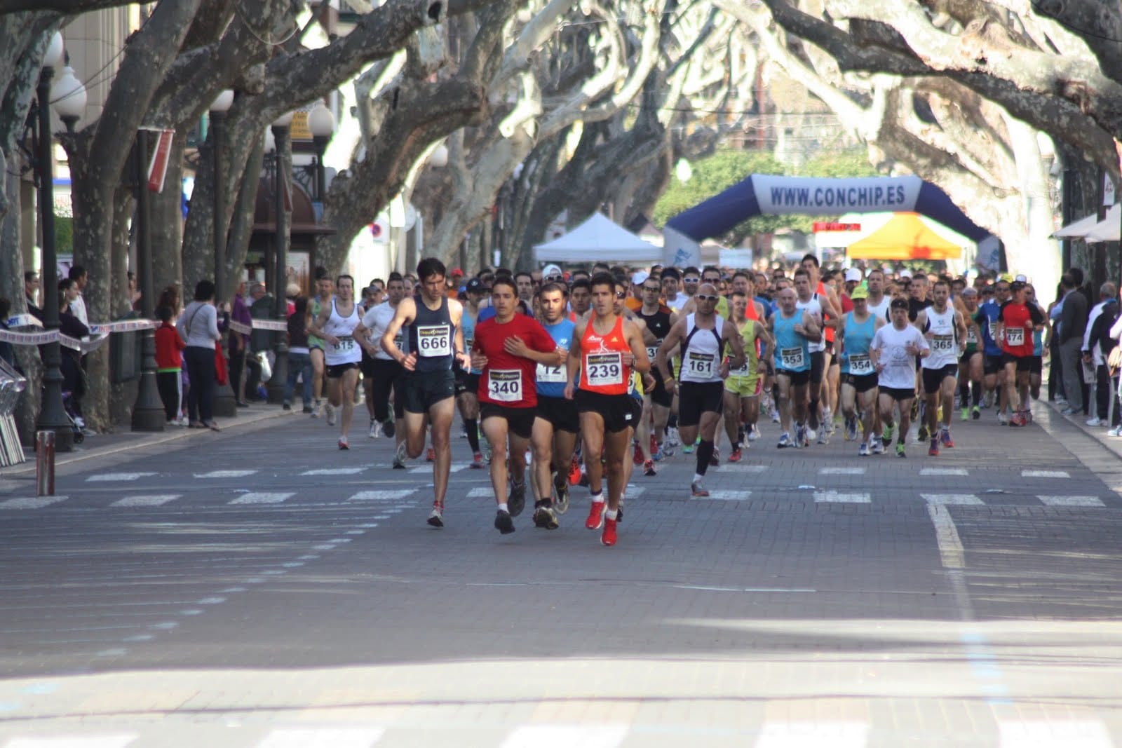 1 - Mitja Denia 2012 (148) 1 Mitja Denia 2012 148
