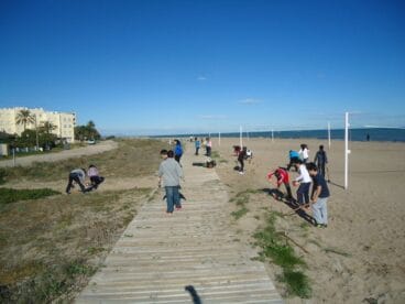 Regeneración de dunas en Les Marines de Dénia 03