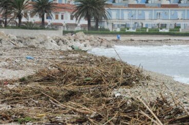 Cañas en la Playa de la Almadrava de Dénia tras el temporal de abril 02