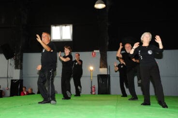Certamen Artes Marciales 3
