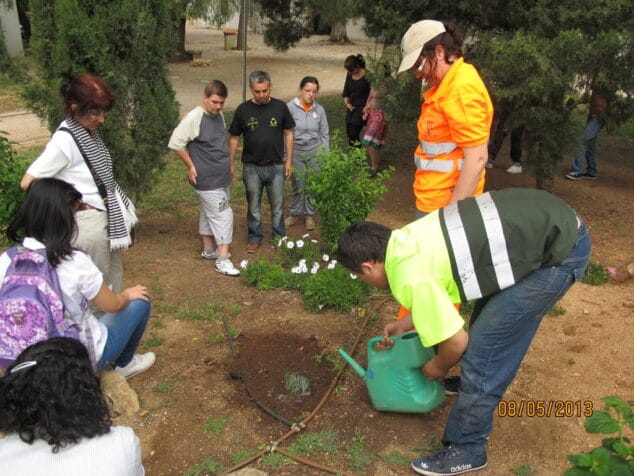 Plantación en Torrecremada del colegio Raquel Payà 01