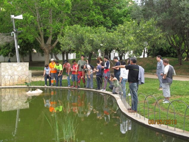 Plantación en Torrecremada del colegio Raquel Payà 02