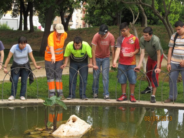Plantación en Torrecremada del colegio Raquel Payà 03