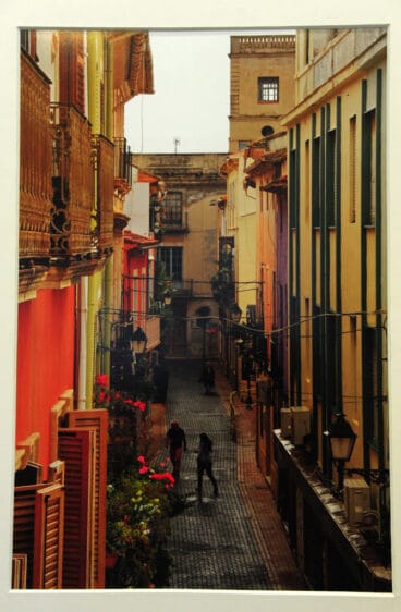 Després de la pluja