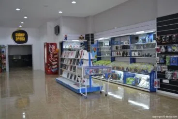 Cyber Arena