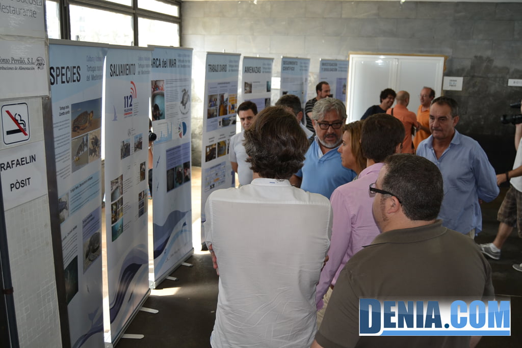Autoridades visitan la exposición explicativa del proyecto de recuperación y conservación de tortugas en Dénia