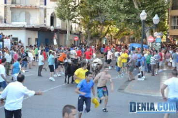 Fiestas de Dénia,sábado 6 de julio, entrá de bous -1