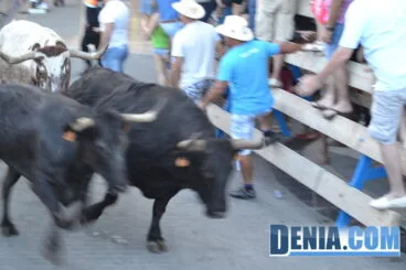 Fiestas de Dénia,sábado 6 de julio, entrá de bous -4