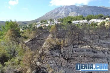 Incendio en una parcela de Les Panes de Dénia