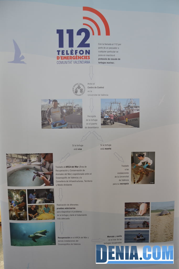 Panel explicativo del proyecto de recuperación de tortugas en la Comunitat Valenciana