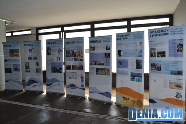 Paneles explicativos del proyecto de recuperación de tortugas en Dénia