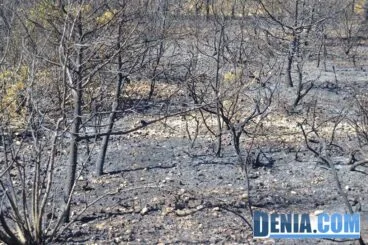 Restos del incendio de Les Rotes en Dénia