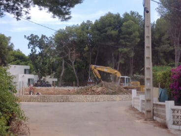 Tala de árboles en una parcela de Les Rotes de Dénia