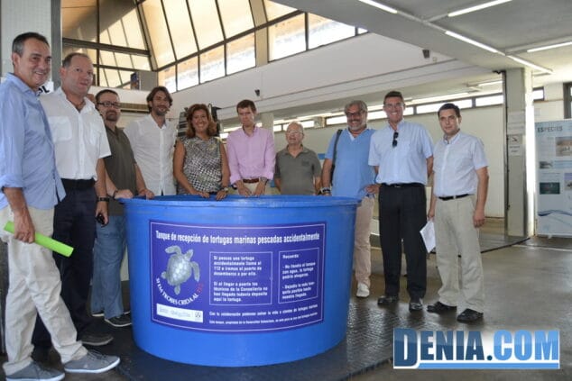 Tanque de recuperación de tortugas en la lonja de Dénia