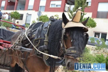 Caballo en la Escaldà de Jesús Pobre