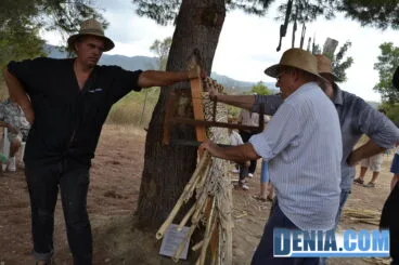 Preparación del cañizo para la escaldà de la pansa