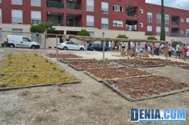 Uva y uva pasa en la escaldà de la Pansa de Jesús Pobre