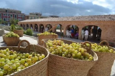 LEscaldà fiesta agrícola que rememora los tiempos en los que la uva verde se convierte en pasa candidata a Bien de Interés Inmaterial de la Comunidad Valenciana
