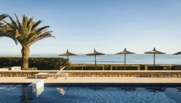 Piscina rodeada de vegetación