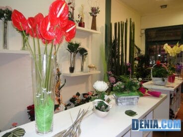 Orquidea Dénia, nueva tienda de flores en Patricio Ferrandiz