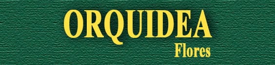 Principal Orquidea